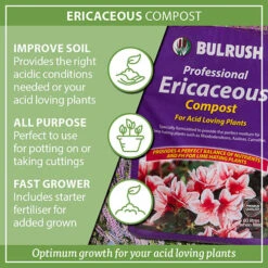 Ericaceous Compost 60L -Garden Bulbs Store 100042 6