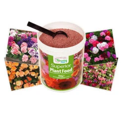 Blooming Fast Superior Soluble Fertiliser 1.25kg -Garden Bulbs Store 100048 4