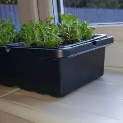 Pack Of 3 Windowsill Propagator Kits -Garden Bulbs Store 120034 3