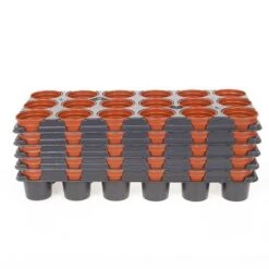 Professional Shuttle Trays -Garden Bulbs Store 130013 2
