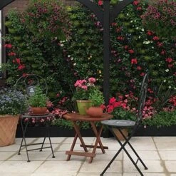 WonderWall Vertical Growing System - 10 Sections -Garden Bulbs Store 130246 7