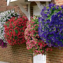 Easy Fill Hanging Baskets 38cm (15in) Pair 14 Easy Fill Hanging Baskets 38cm (15in) Pair -Garden Bulbs Store 130257 5