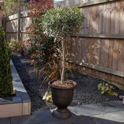 Black And Bronze Vertical Urn 7 Black And Bronze Vertical Urn -Garden Bulbs Store 130271 2