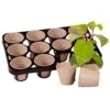 Skelly Tray X 3 And 36 Jiffy Bio Pots 2 Skelly Tray X 3 And 36 Jiffy Bio Pots -Garden Bulbs Store 130325