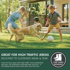 Multi-Purpose & Hardwearing Grass Seed Mix - Back Lawn, 1kg 12 Multi-Purpose & Hardwearing Grass Seed Mix - Back Lawn, 1kg -Garden Bulbs Store 140101 2