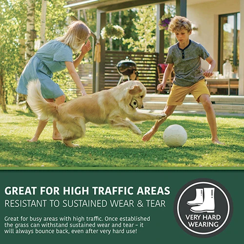 Multi-Purpose & Hardwearing Grass Seed Mix - Back Lawn, 1kg 5 Multi-Purpose & Hardwearing Grass Seed Mix - Back Lawn, 1kg - Image 3