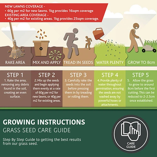 Multi-Purpose & Hardwearing Grass Seed Mix - Back Lawn, 1kg 7 Multi-Purpose & Hardwearing Grass Seed Mix - Back Lawn, 1kg - Image 5