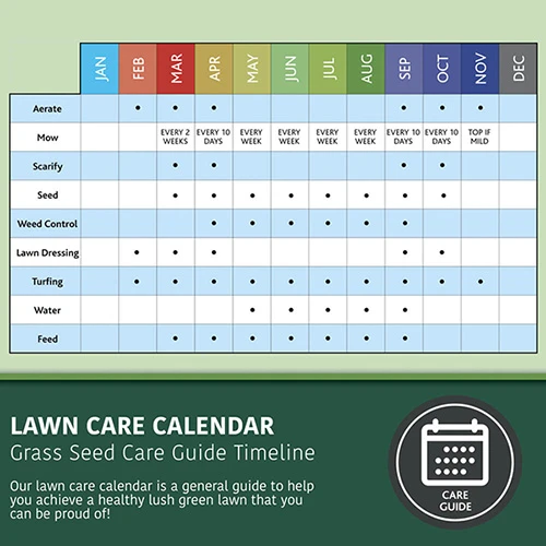 Multi-Purpose & Hardwearing Grass Seed Mix - Back Lawn, 1kg 10 Multi-Purpose & Hardwearing Grass Seed Mix - Back Lawn, 1kg - Image 8