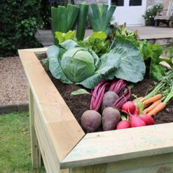 Deep Root Planter 1m -Garden Bulbs Store 160004 1