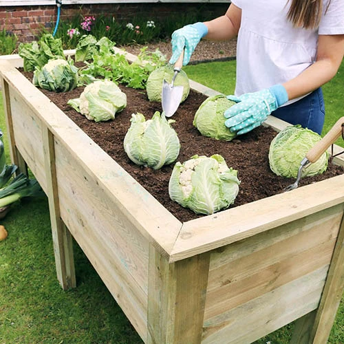 Deep Root Planter 1.8M 4 Deep Root Planter 1.8M - Image 2