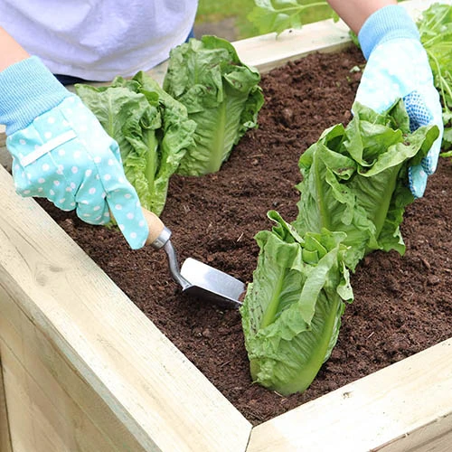 Deep Root Planter 1.8M 5 Deep Root Planter 1.8M - Image 3