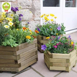 Marford Hexagonal Planter Set 8 Marford Hexagonal Planter Set -Garden Bulbs Store 160098 2