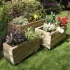 Gresford Planter Collection -Garden Bulbs Store 160107
