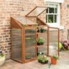Hardwood Mini Greenhouse 1 Hardwood Mini Greenhouse -Garden Bulbs Store 160265