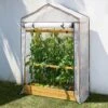 Tomato Greenhouse & PE Cover - Natural -Garden Bulbs Store 160648