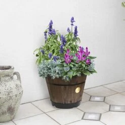 Build Your Own Barrel Kit ? Dark Brown 5 Build Your Own Barrel Kit ? Dark Brown -Garden Bulbs Store 160659 1