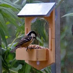 Build Your Own Bird Feeder Kit -Garden Bulbs Store 160900 1