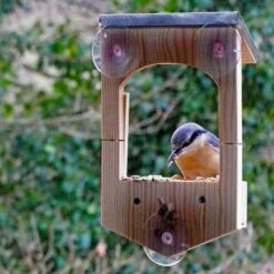 Build Your Own Bird Feeder Kit -Garden Bulbs Store 160900 4