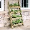 Ladder Planter 2 Ladder Planter -Garden Bulbs Store 160981