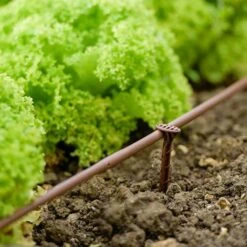 Flopro Beds & Borders Watering Kit -Garden Bulbs Store 161002 3