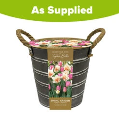 Outdoor Narcissi And Tulip Bucket Planter 9 Outdoor Narcissi And Tulip Bucket Planter -Garden Bulbs Store 161135 3