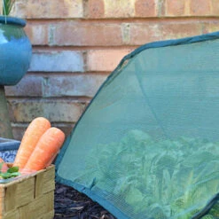 Pop Up Mini Grow Tunnel Cloche 8 Pop Up Mini Grow Tunnel Cloche -Garden Bulbs Store 161376 2