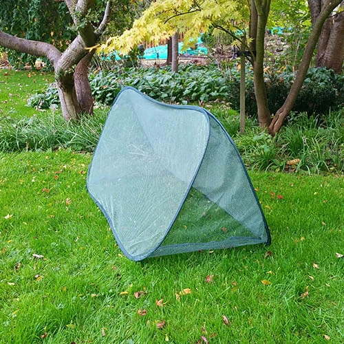 Pop Up Mini Grow Tunnel Cloche 6 Pop Up Mini Grow Tunnel Cloche - Image 4