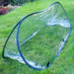 Pop Up Poly Cloche 7 Pop Up Poly Cloche -Garden Bulbs Store 161385 1