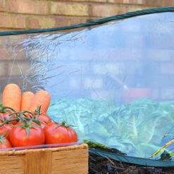 Pop Up Poly Cloche 8 Pop Up Poly Cloche -Garden Bulbs Store 161385 2