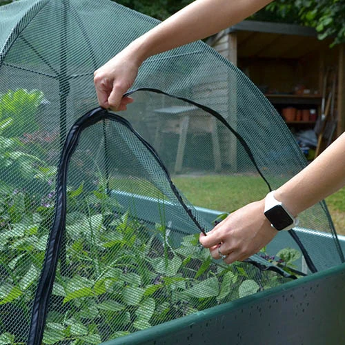 Square Plant Umbrella For Raised Beds 4 Square Plant Umbrella For Raised Beds - Image 2