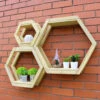Honeycomb Shelf-Set Of 3 -Garden Bulbs Store 161421