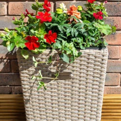 Square Rattan Planter In Natural Weave-Pack Of 2 -Garden Bulbs Store 161441 1