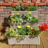 Tiered Rattan Planter In Natural -Garden Bulbs Store 161443