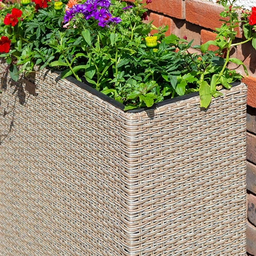Tall Rattan Planter In Natural Weave 5 Tall Rattan Planter In Natural Weave - Image 3