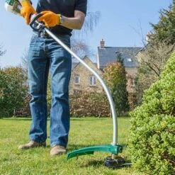 Webb 26cc 2 Stroke Petrol Line Trimmer -Garden Bulbs Store 180255 1