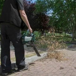 Webb BV26 26cc Petrol Blow Vac -Garden Bulbs Store 180259 1