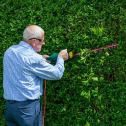 Webb 500w 51cm Cut Electric Hedge Trimmer -Garden Bulbs Store 180264 7