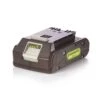 Greenworks 24V 2AH Battery -Garden Bulbs Store 180276