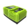 Greenworks 40V 4A Charger 1 Greenworks 40V 4A Charger -Garden Bulbs Store 180295