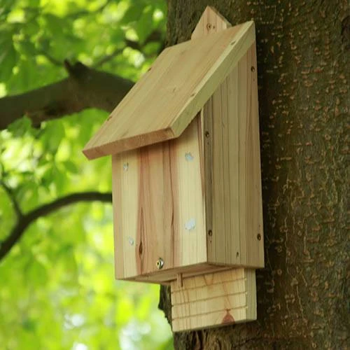 Chavenage Bat Box 3 Chavenage Bat Box