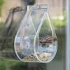 Dewdrop Window Feeder -Garden Bulbs Store 190049