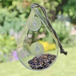 Dewdrop Window Feeder -Garden Bulbs Store 190049 4