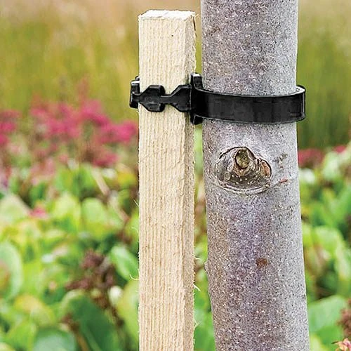 Complete Tree Planting Kit 7 Complete Tree Planting Kit - Image 5