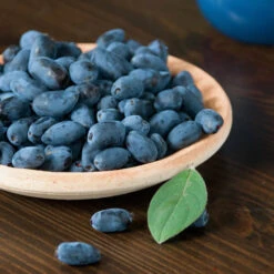 Honeyberry 9 Honeyberry -Garden Bulbs Store 310034 3