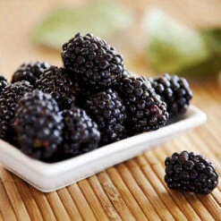 Thornless Blackberry -Garden Bulbs Store 310077 1