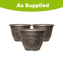 Blueberry Collection With Decorative Pots -Garden Bulbs Store 310082 4