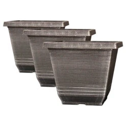 The Complete Blueberry Growing Kit -Garden Bulbs Store 310083 5