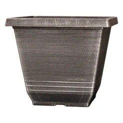 The Complete Blueberry Growing Kit -Garden Bulbs Store 310083 6