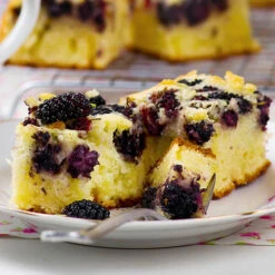 Morus Rotundiloba 'Mojoberry' Dwarf Mulberry 18 Morus Rotundiloba 'Mojoberry' Dwarf Mulberry -Garden Bulbs Store 310092 7