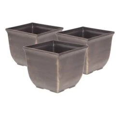 Complete Blueberry Vaccinium Kit -Garden Bulbs Store 310123 6